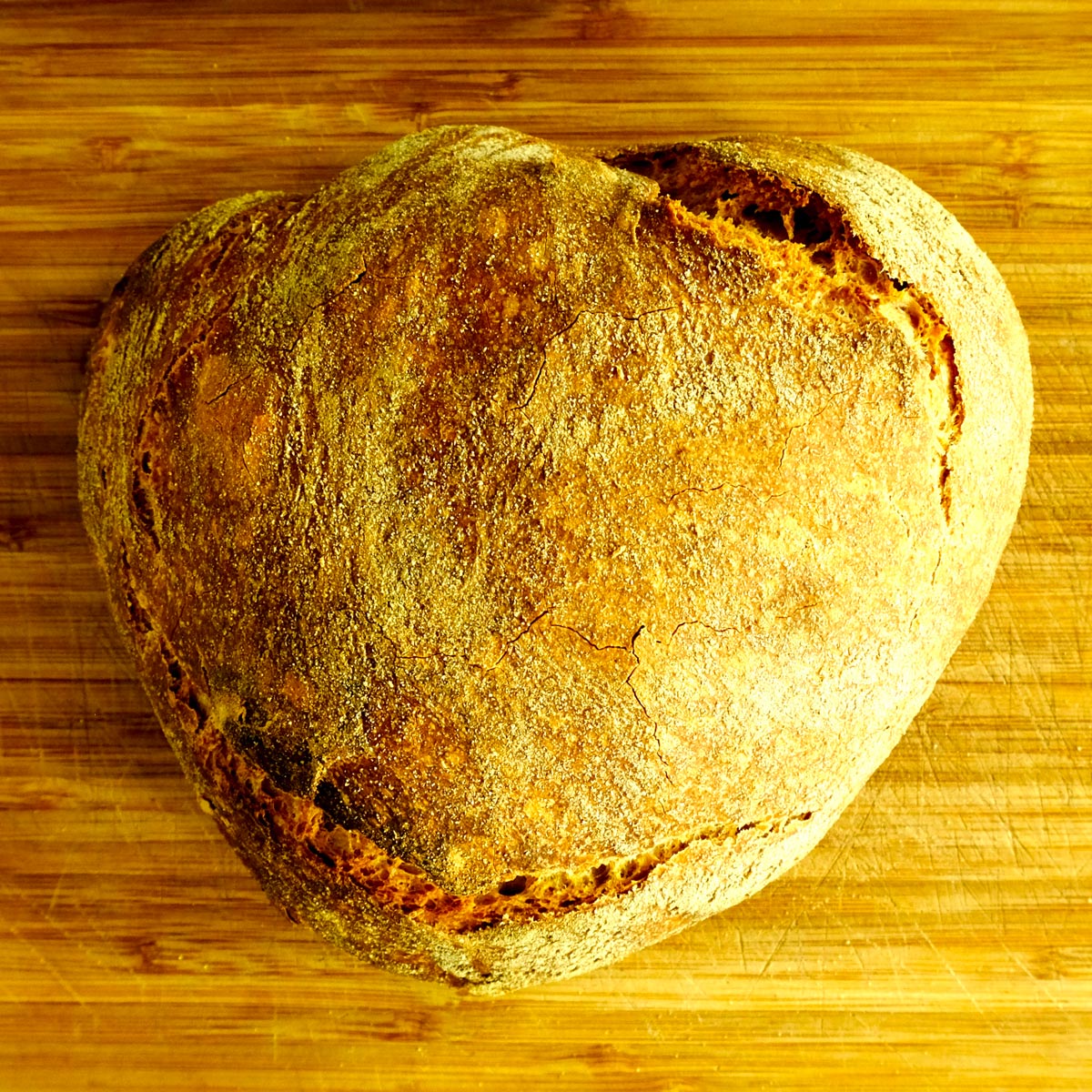 extra virgin olive oil no knead bread from zelos greek artisan