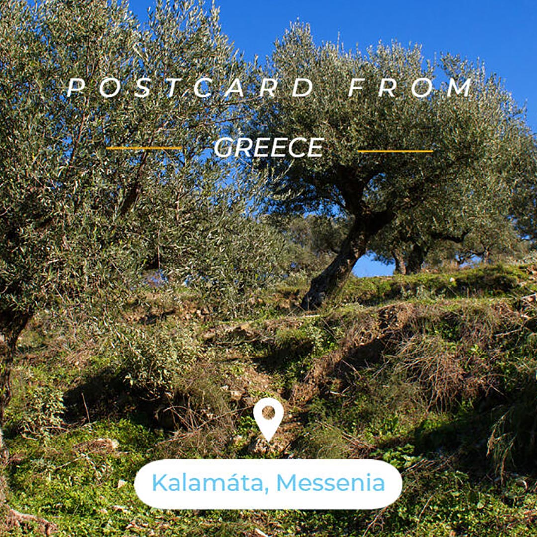 Traveling to Greece, Zelos tips: Kalamata, and the famous Kalamata olives