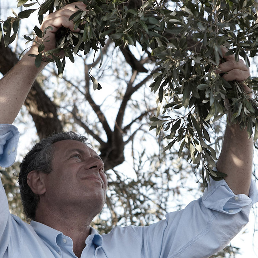 Meet Philippe, Our Olive Oil Connoisseur