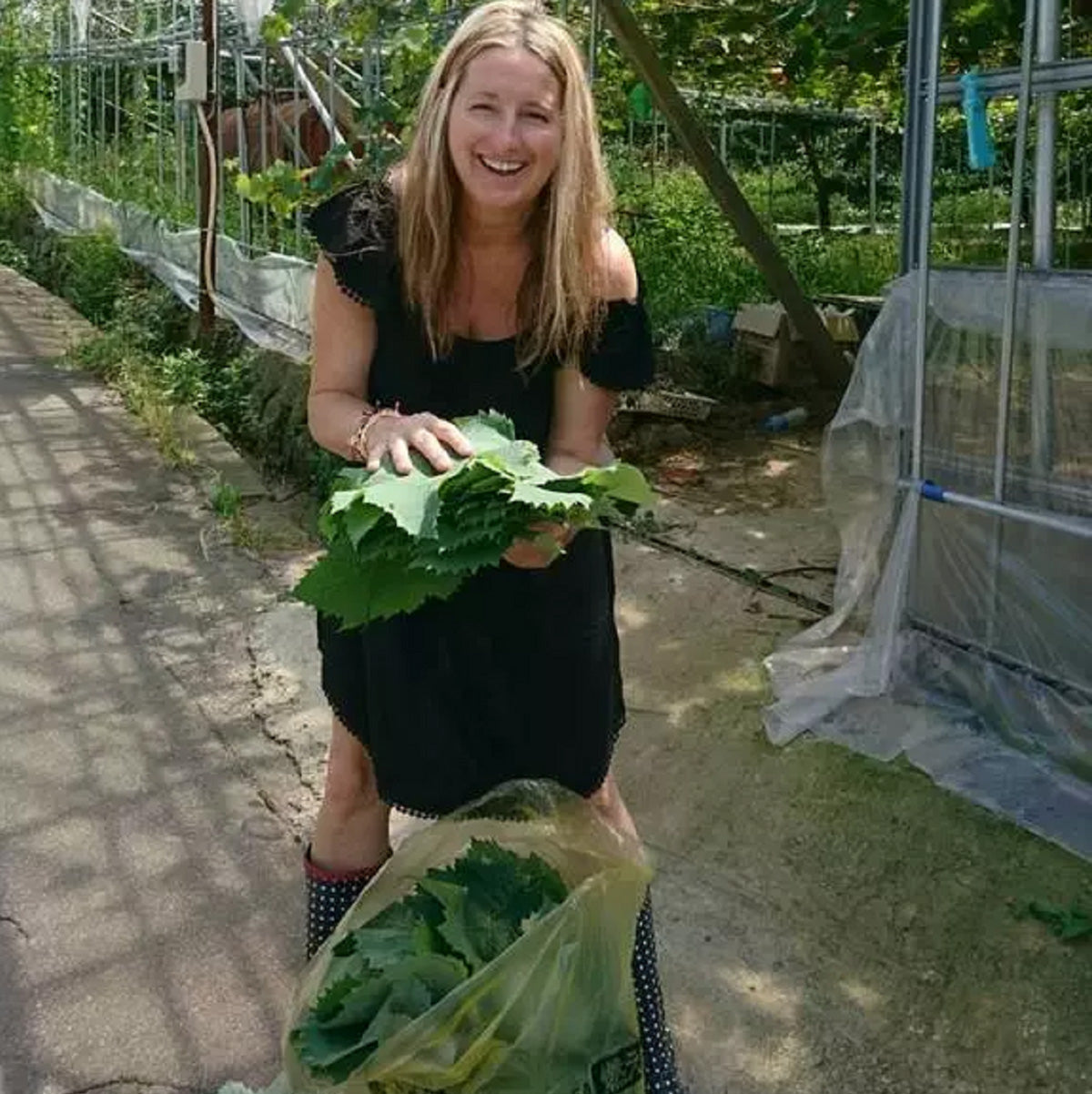 An American in Okinawa...Cooking Greek!