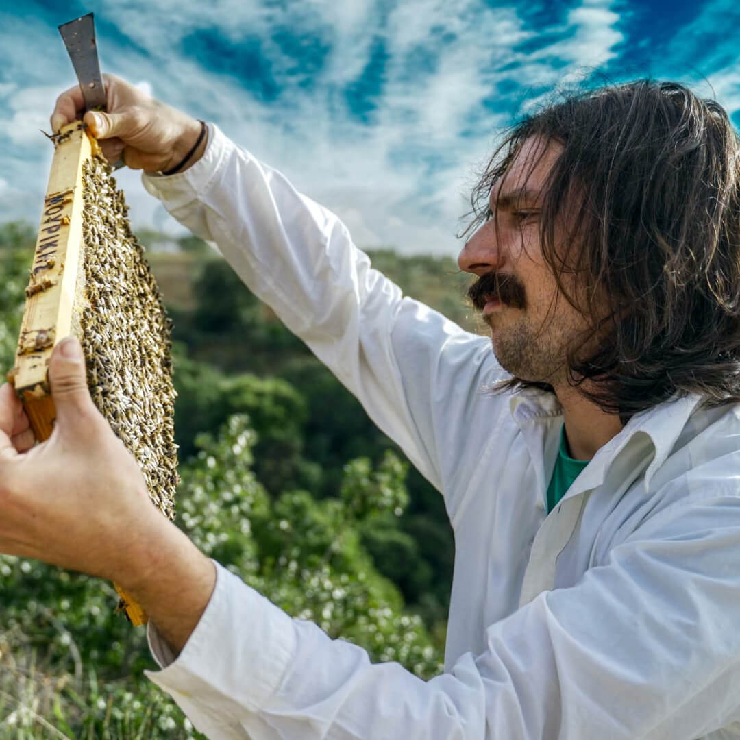 Meet the Mouriki Family and their Raw Honey from Greece