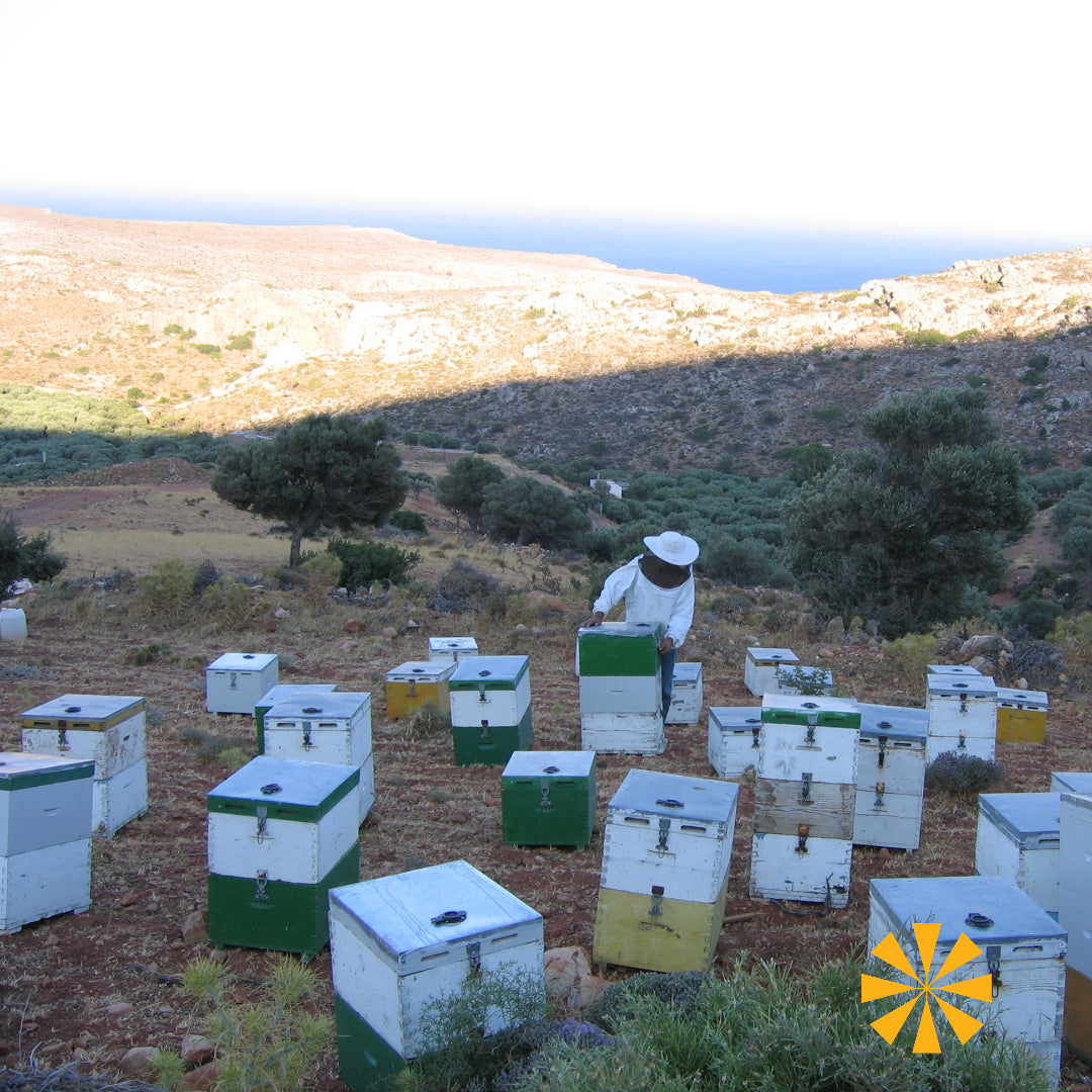 Manolis Stefanakis bee keeper for Tragano Greek Organics