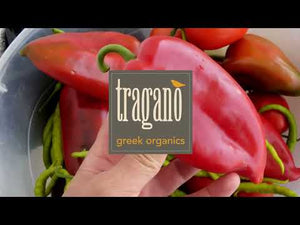 Roasted Red Peppers in a Jar from Tragano Greek Organics