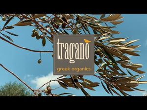 Pitted Green Olives from Tragano Greek Organics