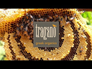 Organic Honey from Crete from Tragano Greek Organics