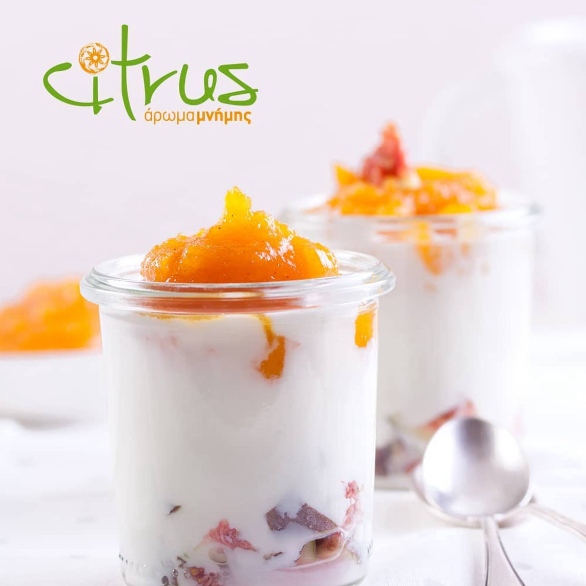 Citrus Handmade Chian Tangerine Marmalade, all-natural Greek preserve